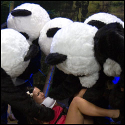 ashli orion panda furry gangbang