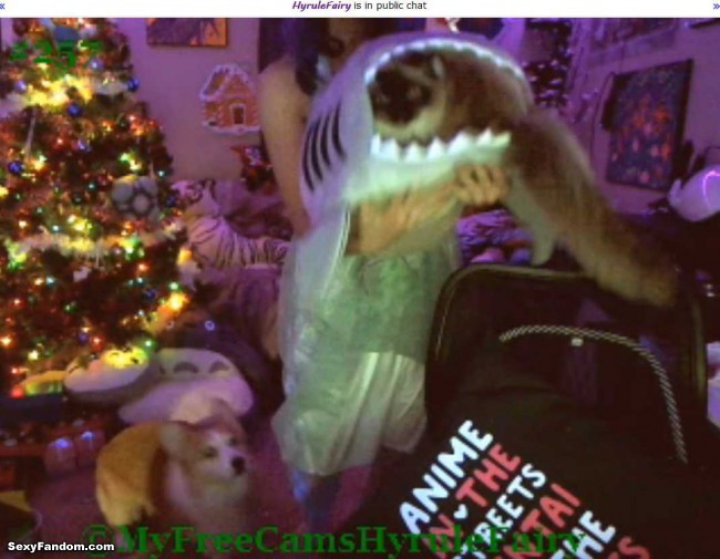 hyrulefairy new years elf cam