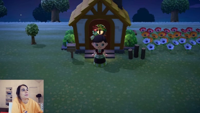 Have Fun With Animal Crossing And Scout