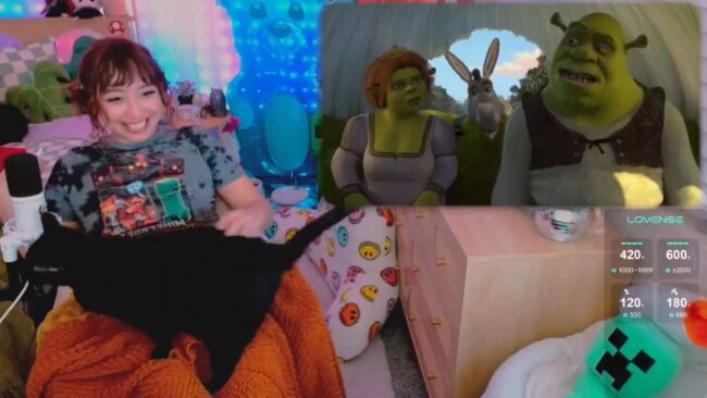 COZYNOVI's All Star Shrek 2 Stream