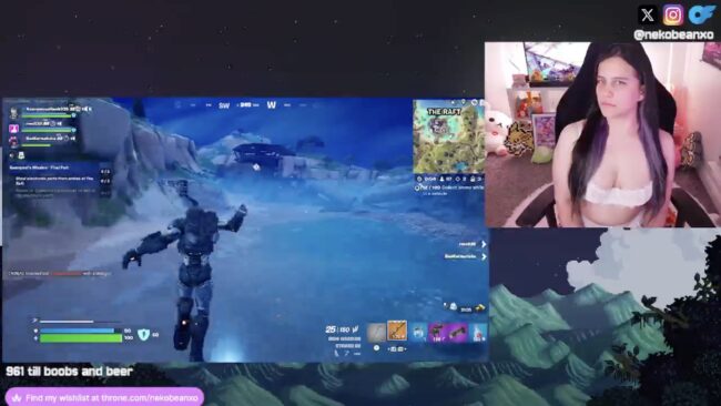 Nekobeanxo Is A Fornite Master