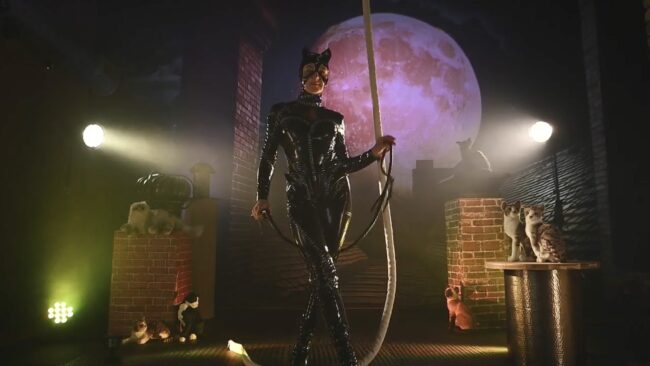 RocknRose Is Catwoman