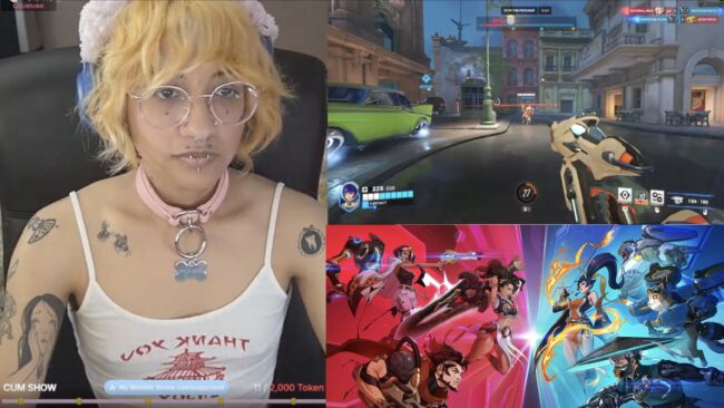 Puppybutt Will Be An Overwatch Champion