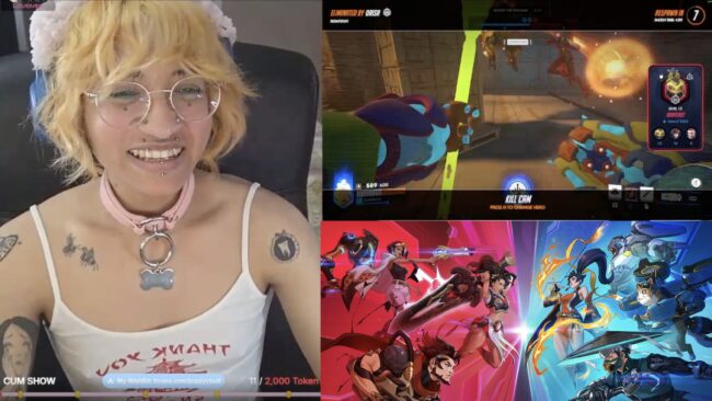 Puppybutt Will Be An Overwatch Champion