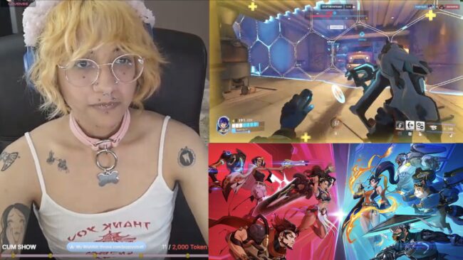 Puppybutt Will Be An Overwatch Champion