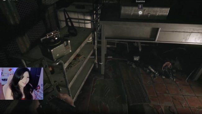 Resident Evil: Village With Hanamaria