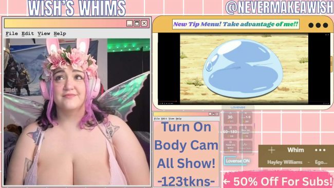 The Magical Fairy World Of Nevermakeawish