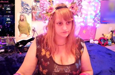 BabyZelda's Fairy Tale Forest